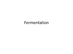 Fermentation - Biology R: 4(A,C)