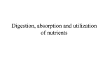 Digestion, absorption and utilization of nutrients