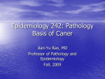 Epidemiology 242: Cancer Epidemiology