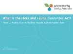 What is the Flora and Fauna Guarantee Act?
