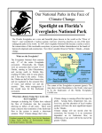 Spotlight on Florida`s Everglades National Park