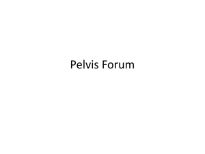Pelvis Forum