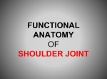 functional anatomy of the shoulder joint