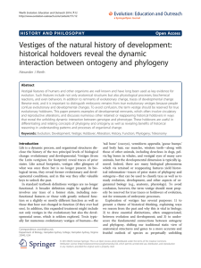 Vestiges of the natural history of development: historical holdovers
