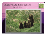 Chapter 8 - Life History Patterns