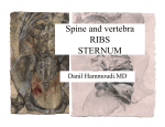 Spine and vertebra - Sinoe Medical Association