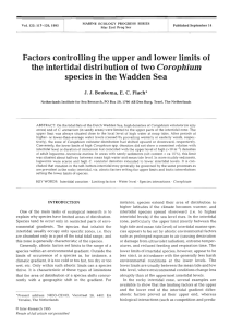 Factors controlling the upper and lower limits of the intertidal