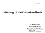 Histology of the Endocrine Glands [PPT]