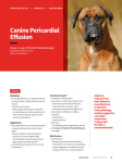 Canine Pericardial Effusion