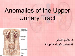 Anomalies of the Upper Urinary Tract