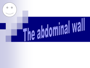 Structure of the Posterior Abdominal Wall
