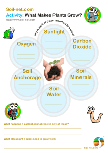 Sunlight Soil Minerals Soil Water Soil Anchorage Oxygen Carbon