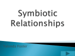 Symbiotic Relationships - Yalonda`s Class Portfolio