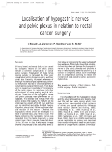 Localisation of hypogastric nerves and pelvic plexus in relation to