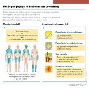 Muscle pain (myalgia) in muscle diseases (myopathies)