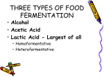 Lactic Acid Bacteria: Characteristics