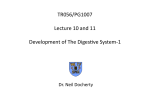 PG1007 Lectures 9 and 10 Development of The Digestive System