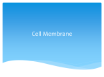 Cell Membrane Note Outline