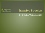 Invasive Species Notes