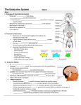 I. Overview of the Endocrine System