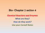 Bio- Chapter 2 section 4 kearns 2014