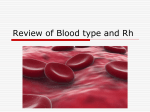 Review of Blood type and Rh