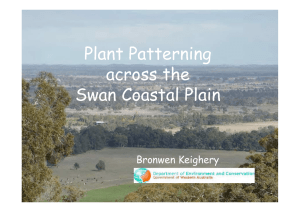 Plant Patterning across the Swan Coastal Plain