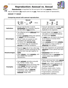 Reproduction: Asexual vs