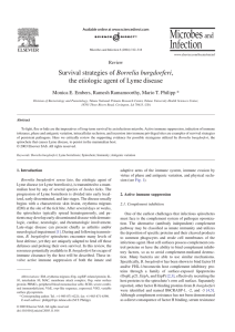 Survival strategies of Borrelia burgdorferi, the etiologic agent of