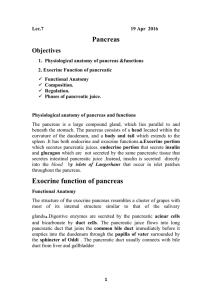 B. Pancreatic digestive Enzymes
