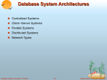 Database System Architectures