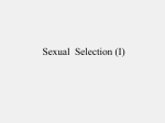 PowerPoint Presentation - Sexual Selection (I)