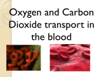 Hemoglobin and O2 transport - SHMD 339: Exercise Physiology 3