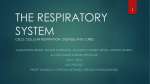 The respiratory system - Spark (e