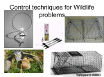 Control techniques for Wildlife problems