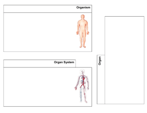 O rga n Organ System Organism
