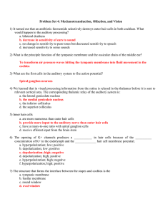 1) It turned out that an antibiotic furosemide selectively destroys