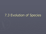 7.3 Evolution of Species