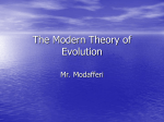 The Modern Theory of Evolution