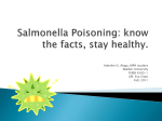 Salmonella: know the facts, stay healthy.