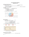 Unit 5: Gene Expression and Mutation Genetics 2013