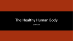 Chapter 9: The Healthy Human Body