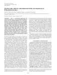 Neural tube defects and abnormal brain development in F52