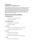 CHAPTER 42 Pathogenesis of Fungal Infections