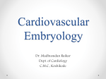 Cardiac Embryology basics DR MADHUSUDAN