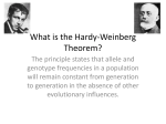 What is the Hardy-Weinberg Theorem?