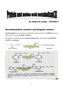 b. Ketogenic amino acids