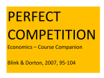 Perfect Competition File
