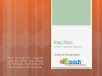 Reptiles - ABCTeach