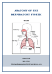 Respiratory System - yeditepe anatomy fhs 121